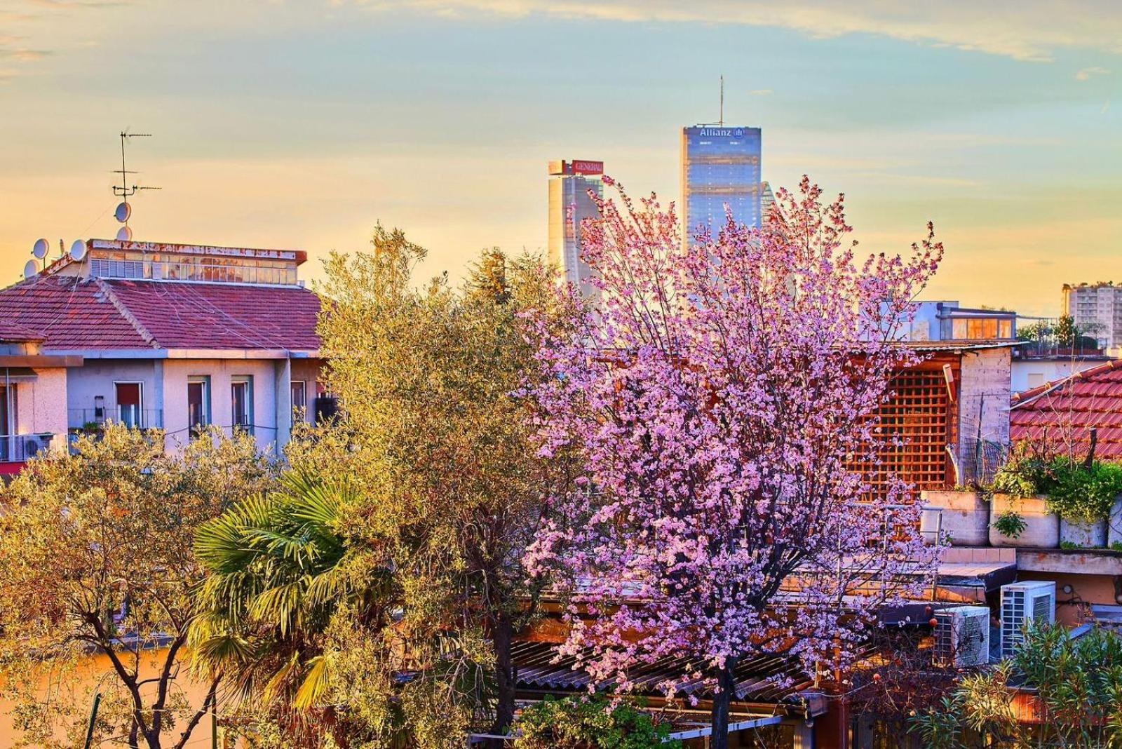 Sant'Ambrogio Charme Apartment Mediolan Zewnętrze zdjęcie
